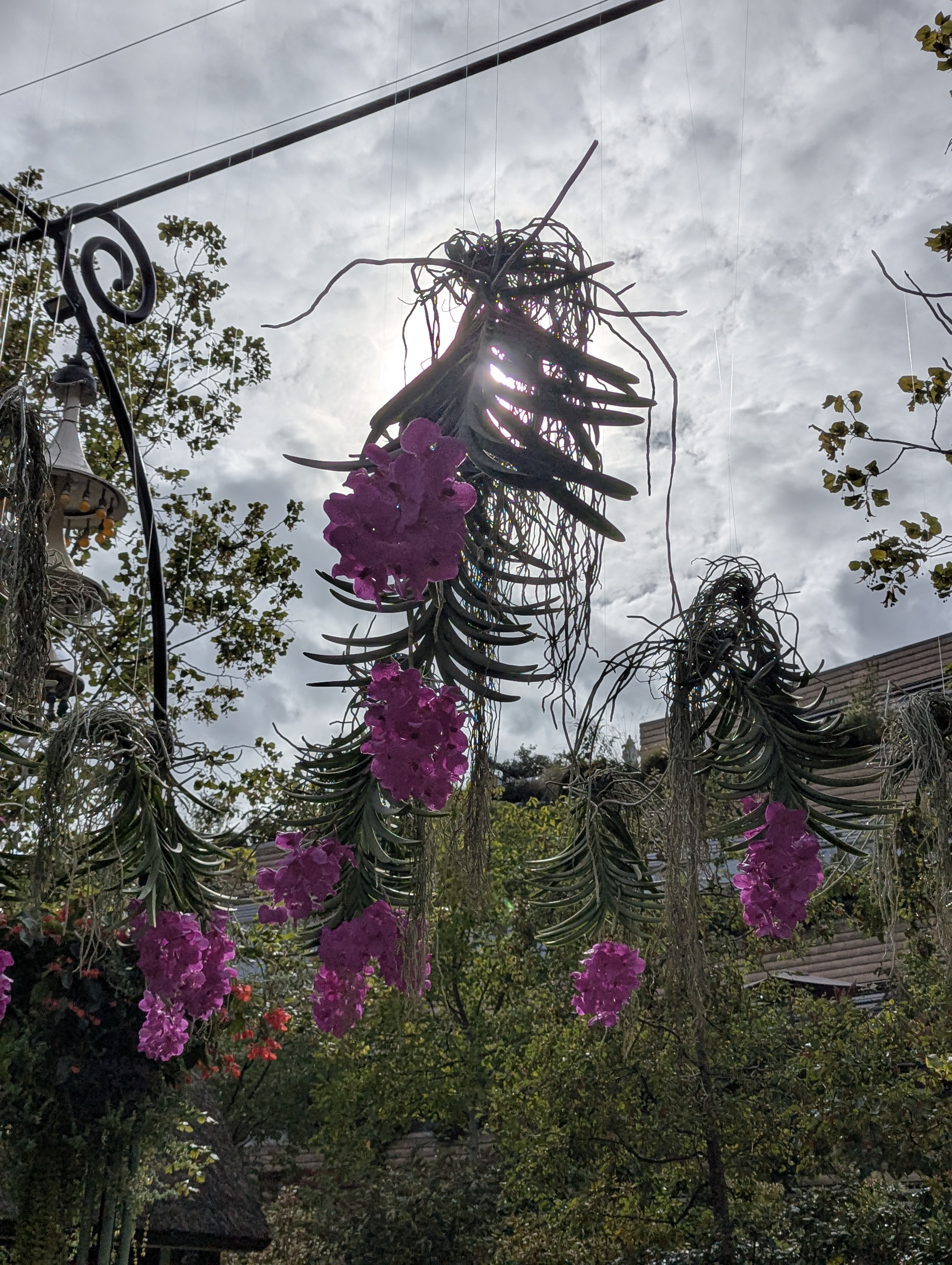 Copenhagen, SSPC, Tivoli, Denmark